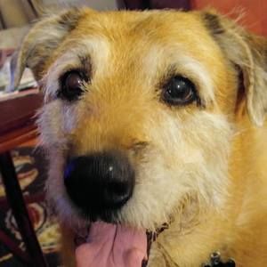 Meet your Posher, Paulie